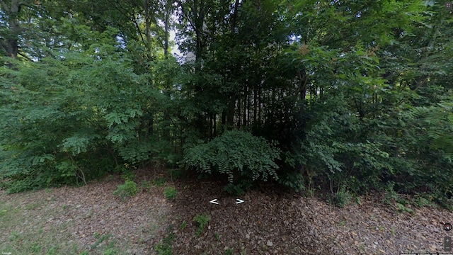 1175 Nora Ln, Pegram, TN 37143 - photo 1