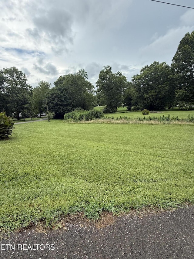 0 Georgia Ln, Knoxville, TN 37924 - photo 5