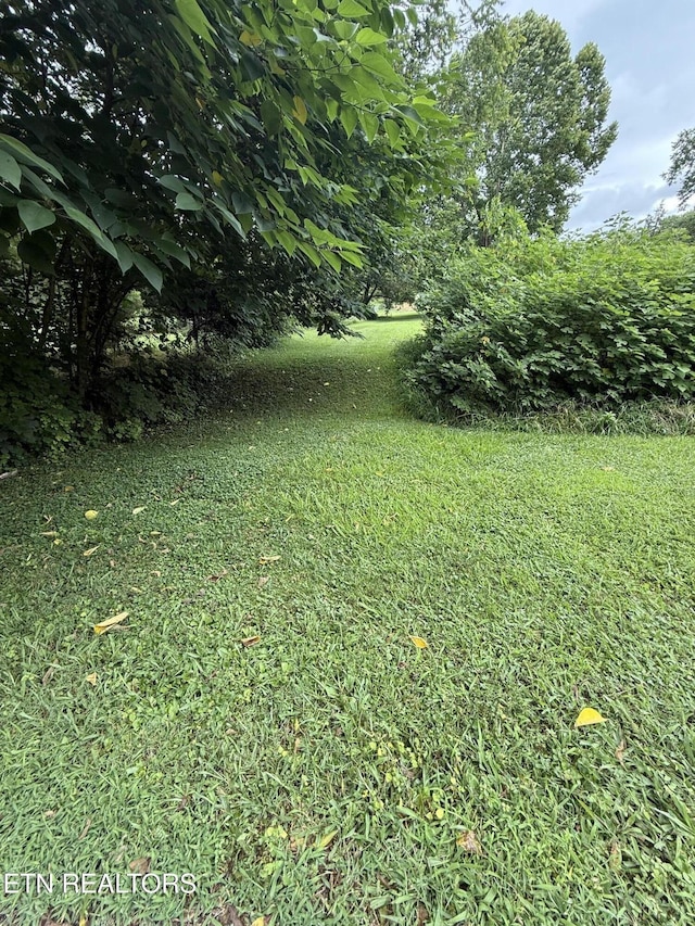 0 Georgia Ln, Knoxville, TN 37924 - photo 3