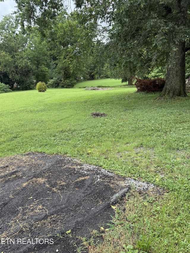 0 Georgia Ln, Knoxville, TN 37924 - photo 7