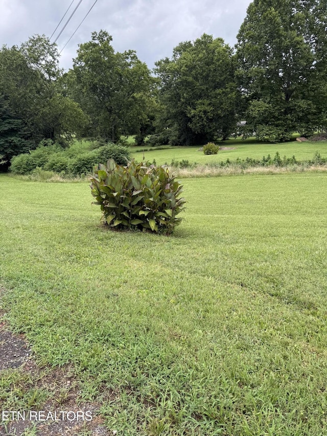 0 Georgia Ln, Knoxville, TN 37924 - photo 2