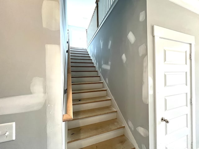 2629 Unitas Dr, Murfreesboro, TN 37129 - photo 12