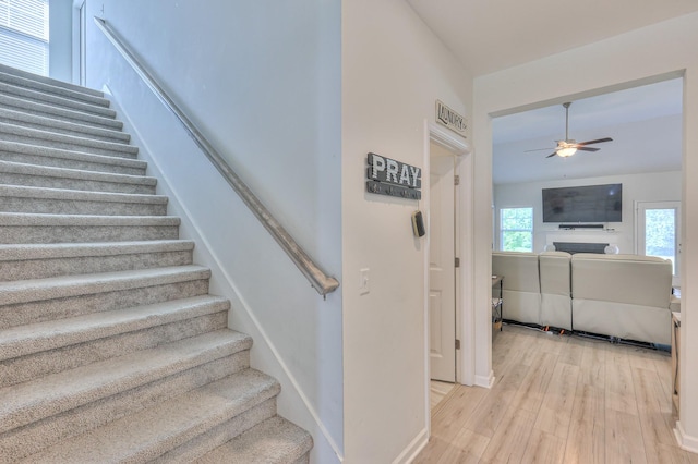 3652 Stormy Ln, Rockvale, TN 37153 - photo 4