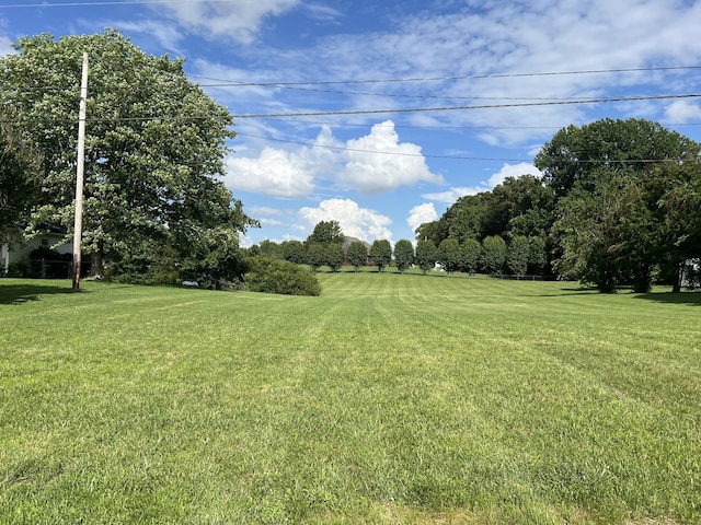 2019 Pinnacle Rd, Pleasant View, TN 37146 - photo 25