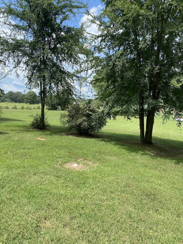 2019 Pinnacle Rd, Pleasant View, TN 37146 - photo 22