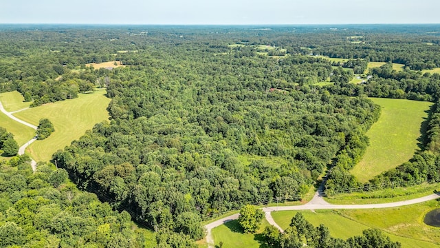 0 Louis Tuttle Rd, Westmoreland, TN 37186 - photo 4