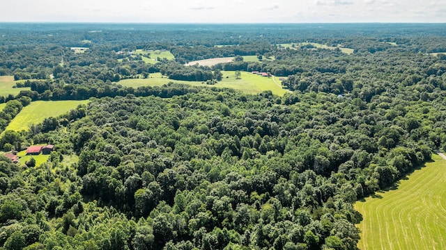0 Louis Tuttle Rd, Westmoreland, TN 37186 - photo 11