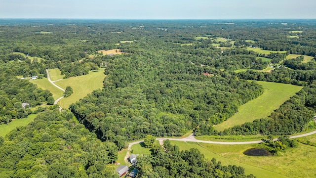 0 Louis Tuttle Rd, Westmoreland, TN 37186 - photo 14