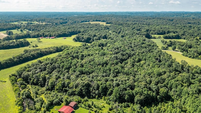 0 Louis Tuttle Rd, Westmoreland, TN 37186 - photo 12