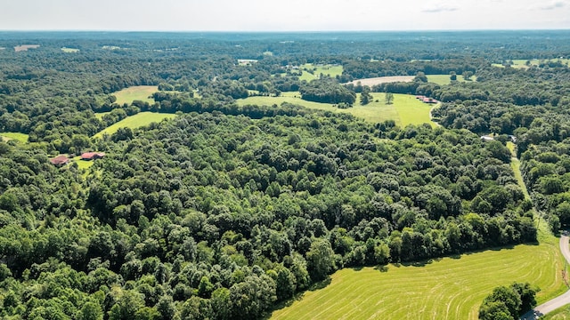 0 Louis Tuttle Rd, Westmoreland, TN 37186 - photo 10