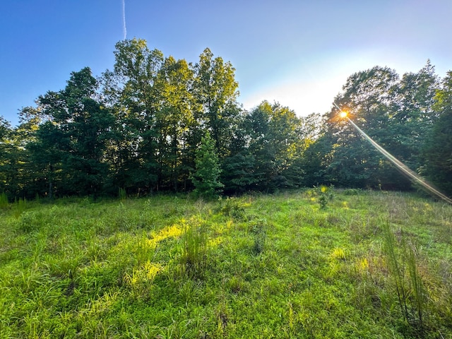 2017 Airport Ridge Rd, Linden, TN 37096 - photo 57