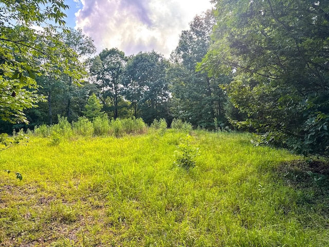 2017 Airport Ridge Rd, Linden, TN 37096 - photo 43