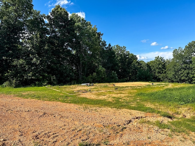 2017 Airport Ridge Rd, Linden, TN 37096 - photo 35
