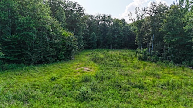 2017 Airport Ridge Rd, Linden, TN 37096 - photo 55
