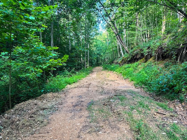 2017 Airport Ridge Rd, Linden, TN 37096 - photo 41