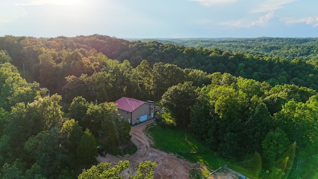 2017 Airport Ridge Rd, Linden, TN 37096 - photo 2