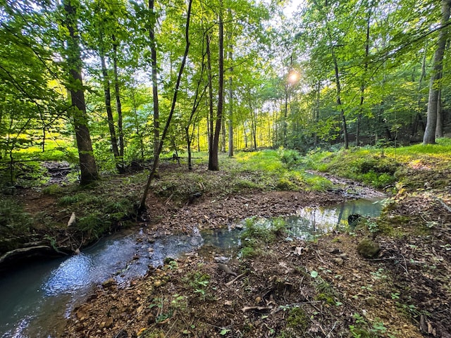 2017 Airport Ridge Rd, Linden, TN 37096 - photo 6