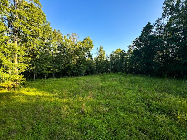2017 Airport Ridge Rd, Linden, TN 37096 - photo 58