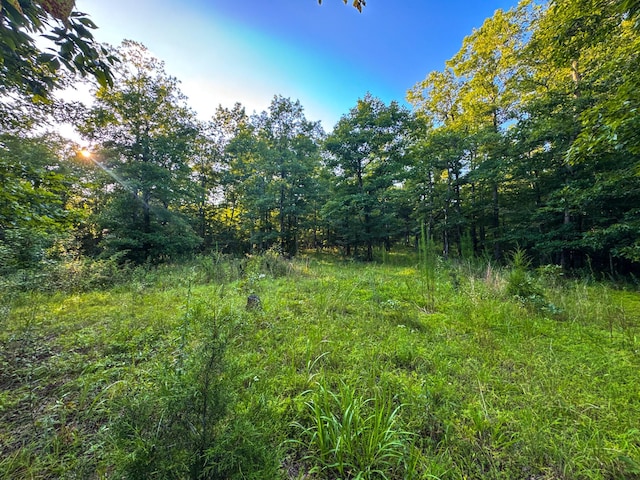 2017 Airport Ridge Rd, Linden, TN 37096 - photo 59