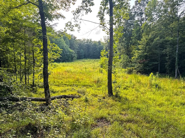 2017 Airport Ridge Rd, Linden, TN 37096 - photo 60
