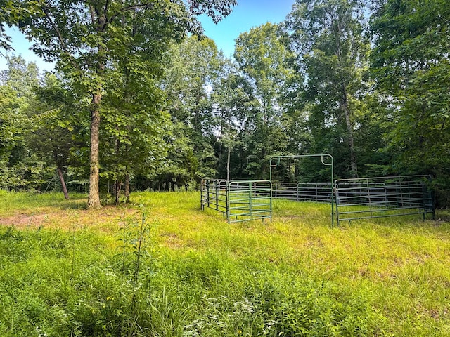 2017 Airport Ridge Rd, Linden, TN 37096 - photo 44