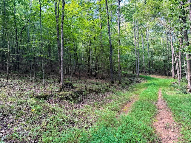 2017 Airport Ridge Rd, Linden, TN 37096 - photo 42