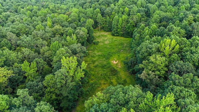 2017 Airport Ridge Rd, Linden, TN 37096 - photo 54