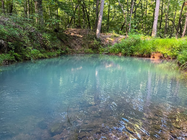 2017 Airport Ridge Rd, Linden, TN 37096 - photo 51