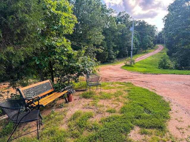 2017 Airport Ridge Rd, Linden, TN 37096 - photo 40