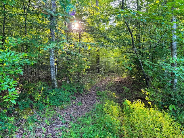 2017 Airport Ridge Rd, Linden, TN 37096 - photo 47