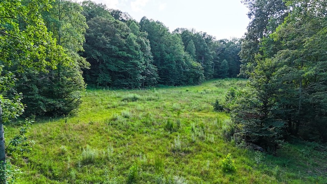2017 Airport Ridge Rd, Linden, TN 37096 - photo 8