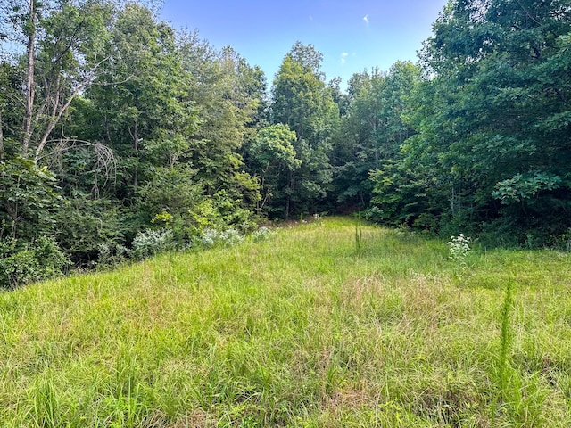 2017 Airport Ridge Rd, Linden, TN 37096 - photo 45