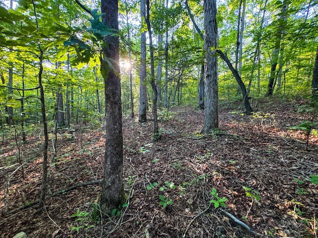 2017 Airport Ridge Rd, Linden, TN 37096 - photo 48