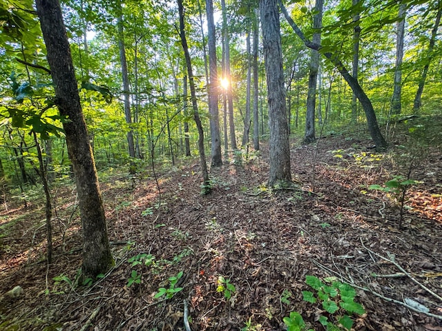 2017 Airport Ridge Rd, Linden, TN 37096 - photo 46