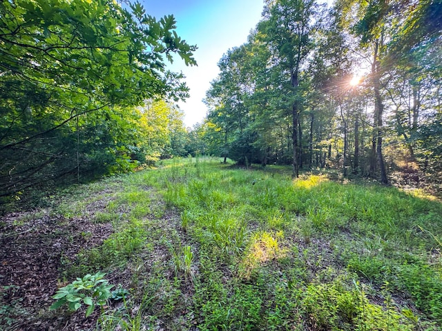 2017 Airport Ridge Rd, Linden, TN 37096 - photo 61