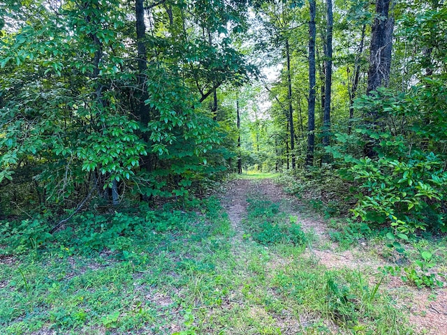 2017 Airport Ridge Rd, Linden, TN 37096 - photo 56