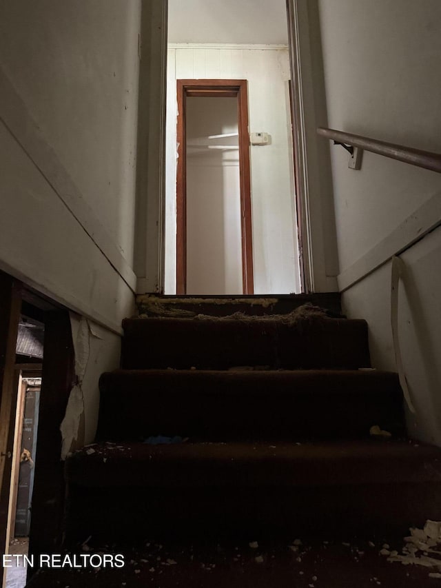 906 Graves St, Knoxville, TN 37915 - photo 11