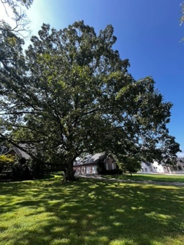 54 Foyer Dr, Winchester, TN 37398 - photo 2