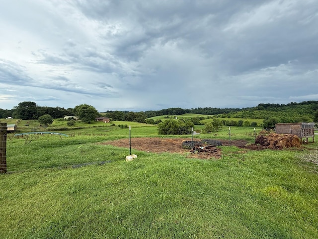 2975 Bethlehem Church Rd, Mount Hermon, KY 42157 - photo 59