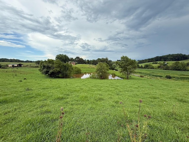 2975 Bethlehem Church Rd, Mount Hermon, KY 42157 - photo 63