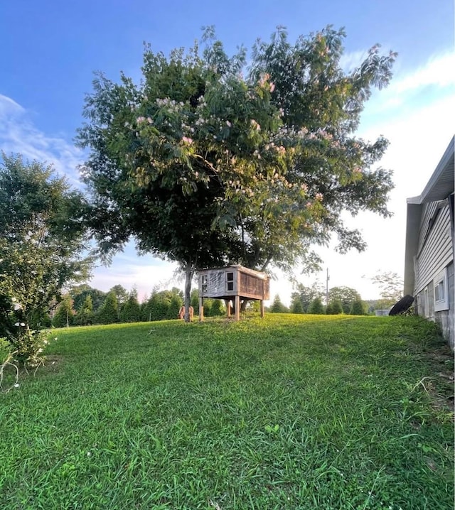2975 Bethlehem Church Rd, Mount Hermon, KY 42157 - photo 72