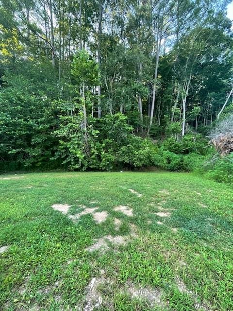 420 W Kelly Rd, Centerville, TN 37033 - photo 5