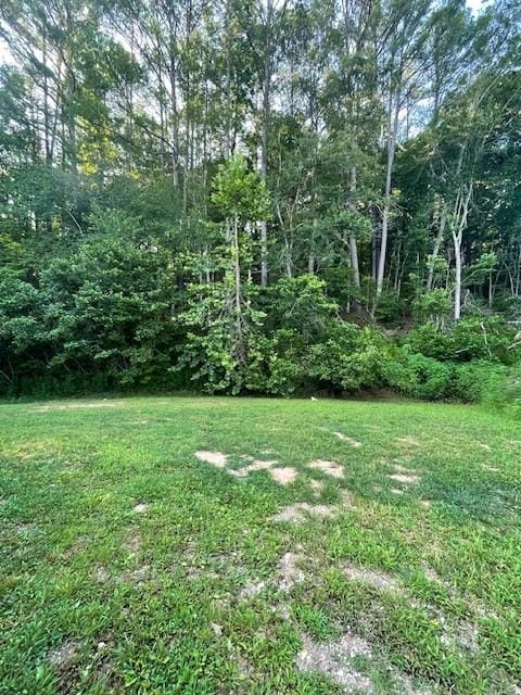 420 W Kelly Rd, Centerville, TN 37033 - photo 2