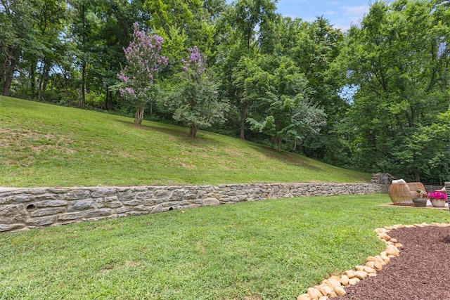 925 Green Valley Dr, Nashville, TN 37220 - photo 51