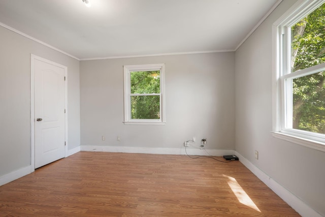 109 Riverside Dr, Centerville, TN 37033 - photo 24