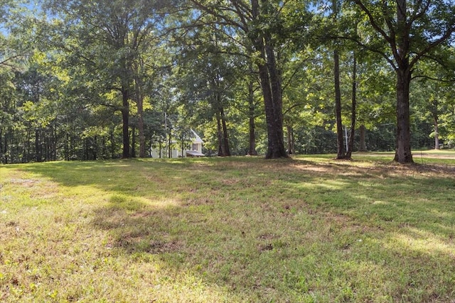 6717 Pilot Dr, Lyles, TN 37098 - photo 33