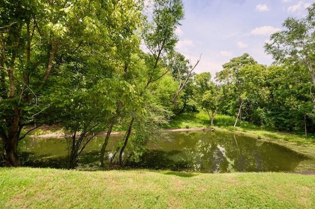 7336 Planters Rd, Fairview, TN 37062 - photo 27