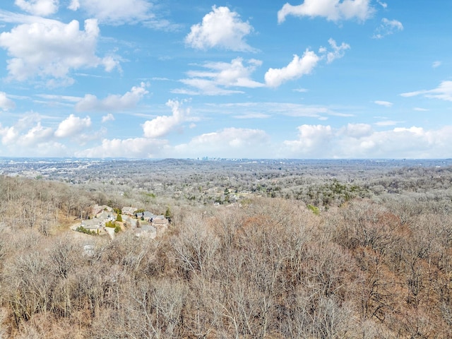 202 Stonecrest Cir, Nashville, TN 37209 - photo 51