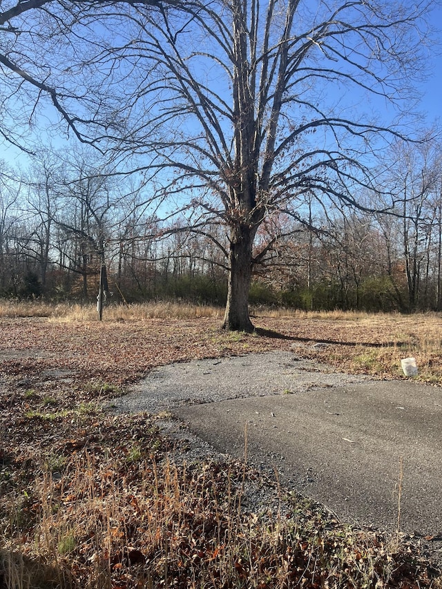 148 Mullican Rd, Mcminnville, TN 37110 - photo 1