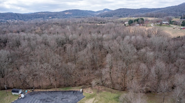 0 Main St N, Carthage, TN 37030 - photo 5